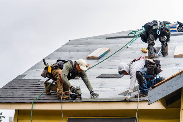 Professional Roofing technician working in USA